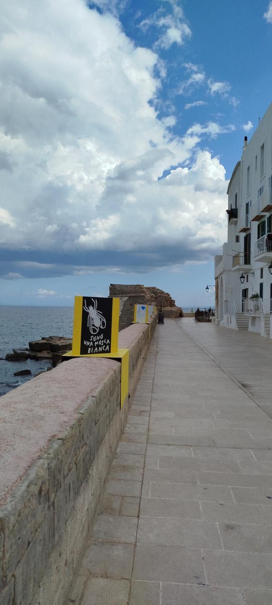 A Casa Di Ru, Bellissimo Appartamento Con Sauna Monopoli Εξωτερικό φωτογραφία